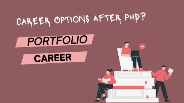 Portfolio Career